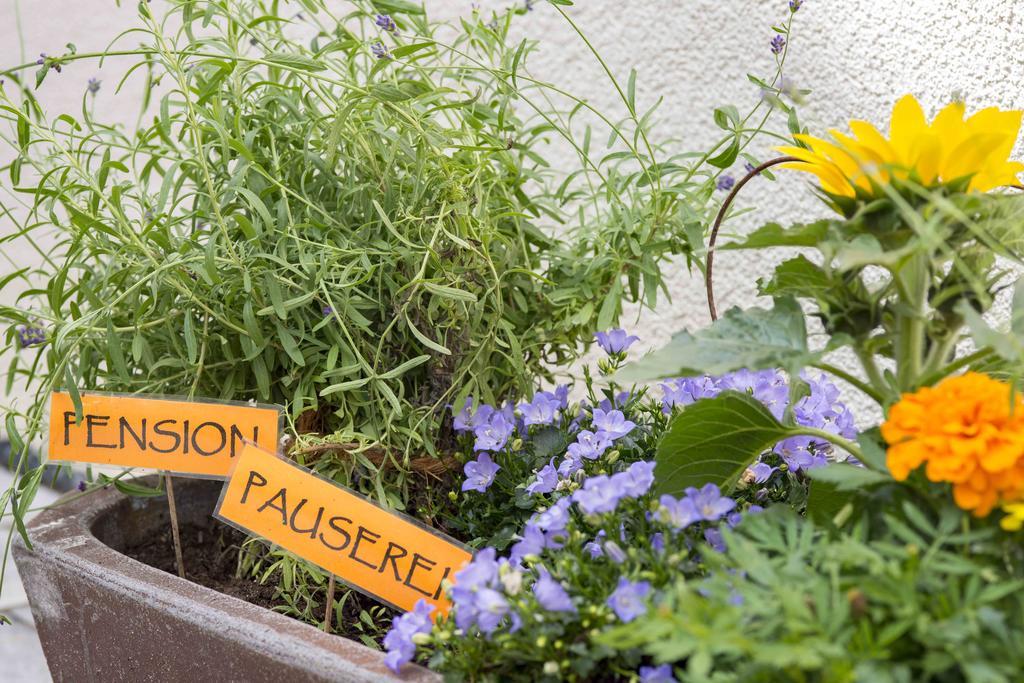 Pension Pauserei Oedheim Kültér fotó